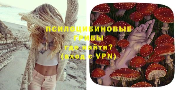 метадон Рославль