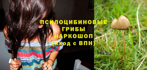 метадон Рославль